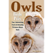Owls: Birds Of Prey