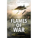 Flames of War: A Vietnam War Novel