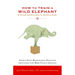 How to Train a Wild Elephant: And Other Adventures in Mindfulness