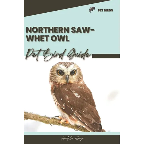Northern Saw-whet Owl: Pet bird guide