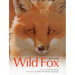 Wild Fox: A True Story