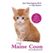 The Maine Coon Guardian: Your Ultimate Guide to Maine Coon Care