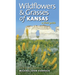 Wildflowers and Grasses of Kansas: A Field Guide, Revised and Expanded Edition