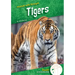 Tigers