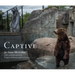 Captive