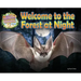 Welcome to the Forest at Night