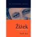Zizek: A Critical Introduction