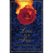 Love Is a Fire: The Sufi's Mystical Journey Home