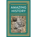 Amazing History