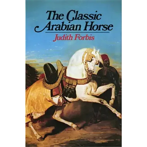 Classic Arabian Horse