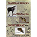 Mammal Tracks and Sign of the Northeast