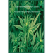 The Cannabis Grow Bible: A Guide to Growing Marijuana