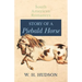 Story of a Piebald Horse