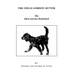 The Field Gordon Setter: The Black and Tan Bombshell