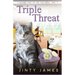 Triple Threat: A Norwegian Forest Cat Café Cozy Mystery - Book 17