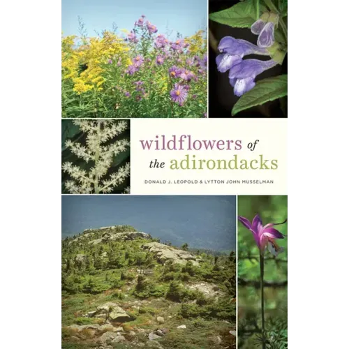 Wildflowers of the Adirondacks
