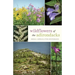 Wildflowers of the Adirondacks