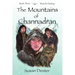 The Mountains of Channadran: Wizard's Destiny