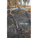 Dead Wood