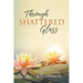 Through Shattered Glass