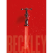 Bill Beckley and Narrative Art: The Word-Image Riddle and the Aesthetics of Beauty
