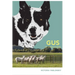 Gus: One Woman's Champion