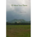 I'll Meet You There
