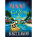 Raining Cat Sitters and Dogs