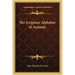 The Scripture Alphabet of Animals