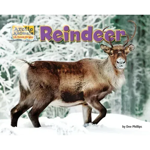 Reindeer