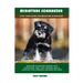 Miniature Schnauzer: A Pet Care Guide for Miniature Schnauzer