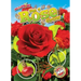 See a Rose Grow