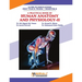 Human Anatomy and Physiology -- II