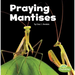 Praying Mantises
