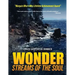Wonder Streams of the Soul
