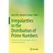 Irregularities in the Distribution of Prime Numbers: From the Era of Helmut Maier's Matrix Method and Beyond