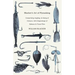 Blacker's Art of Flymaking - Comprising Angling, & Dying of Colours, with Engravings of Salmon & Trout Flies
