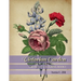 Victorian Garden: Greyscale Colouring Book 1