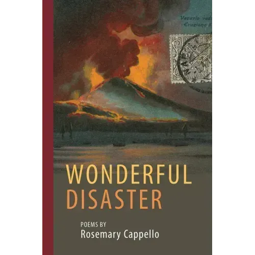 Wonderful Disaster