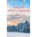 Celebrating Abundance: Devotions for Advent