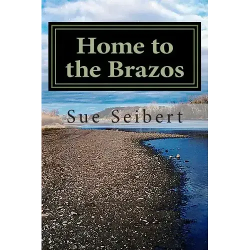 Home to the Brazos: A Painted Post Mystery