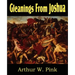 Gleanings from Joshua