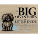 The BIG Adventures of Little Dude