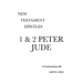 1 & 2 Peter and Jude: A Critical & Exegetical Commentary