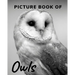 Picture Book of Owls: The Picture Book for Alzheimer's Patients and Seniors with Dementia.