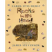 Rocks in His Head