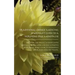 Traditional Chinese Medicine: A Woman's Guide to a Hormone-Free Menopause