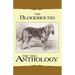 The Bloodhound - A Dog Anthology (A Vintage Dog Books Breed Classic)