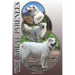 The Great Pyrenees: A Complete and Comprehensive Owners Guide To: Buying, Owning, Health, Grooming, Training, Obedience, Understanding and