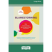 Blamestorming: Why Conversations Go Wrong and How to Fix Them [Standard Large Print 16 Pt Edition]